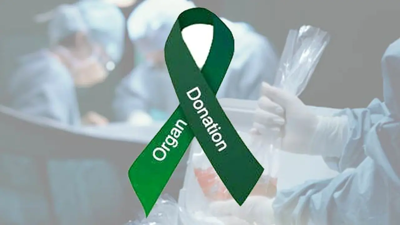 donor-organ-130621b.jpg