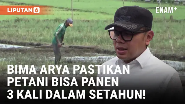 VIDEO: Bima Arya Tinjau Lokasi Irigasi Sawah yang Terkena Dampak Normalisasi Sungai