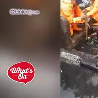 Video ini menjadi Viral kemarin, ketika salah seorang anggota pasukan orange membersihkan gorong-gorong yang tersumbat sampah.