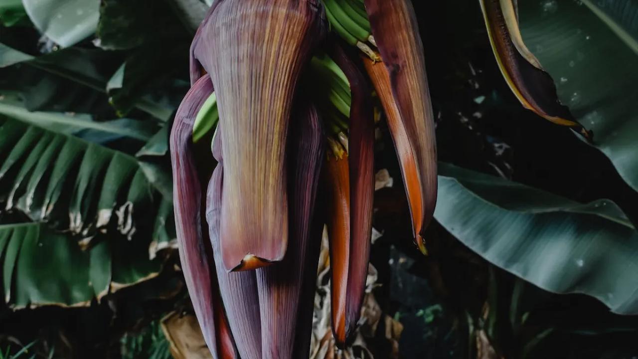 Menjaga Keseimbangan Cairan Tubuh