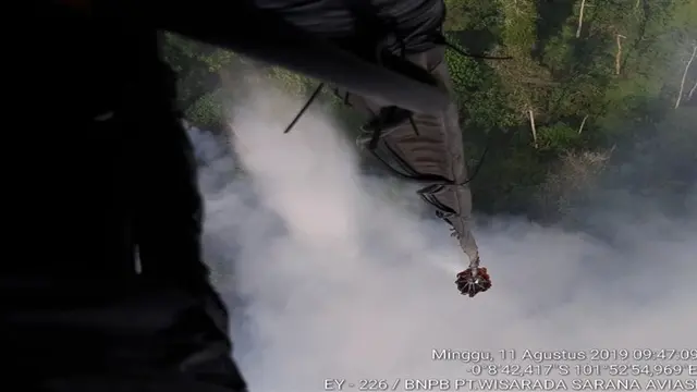 Kebakaran Hutan