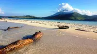 Pulau Pasir Meko berada di Desa Meko, Pulau Adonara, Kabupaten Flores Timur, Nusa Tenggara Timur. Foto: Nila Chrisna Yulika/ Liputan6.com.