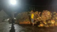 Pria di Lampung Curi Sawit 1,6 Ton Pakai Motor, Tertangkap Saat Beraksi dan Dihajar Massa