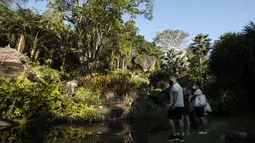 Pengunjung berjalan di taman selama tur ke situs Roberto Burle Marx, yang masuk kedalam daftar situs warisan dunia UNESCO, di Rio de Janeiro, Brasil, pada 27 Juli 2021. Lokasi ini dianggap sebagai laboratorium untuk eksperimen botani dan lanskap. (AP Photo/Mario Lobao)