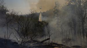 4 Orang Tewas Akibat Helikopter Jatuh di Hutan Rio de Janeiro