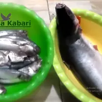 Cukup Satu Bahan Saja, Begini Cara Hilangkan Pengawet pada Ikan Segar  (Credit: YouTube/Bunda Dewi)