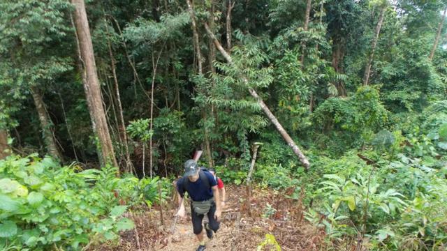Suasana pendakian di Gunung Rumput. (Dok: https://www.gunungbagging.com/berumput/)