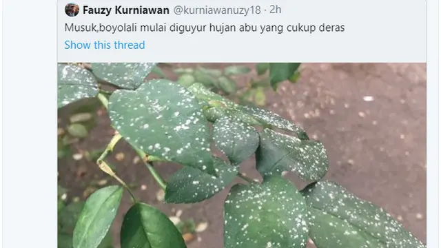 Hujan abu akibat Gunung Merapi Erupsi