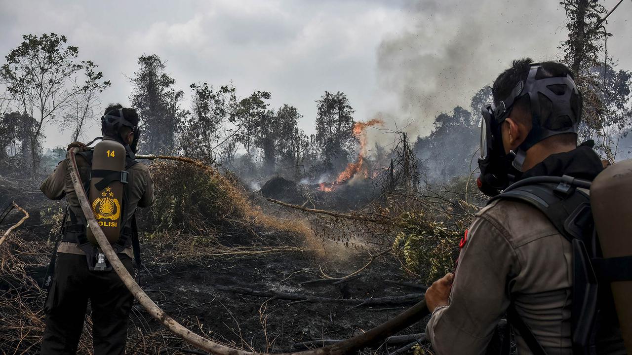 Sejumlah Daerah Dilanda Kebakaran Lahan Gambut