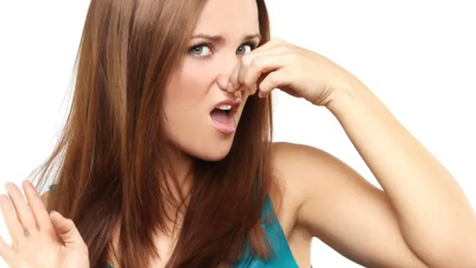 copyright by Shutterstock.com