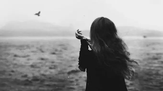 Copyright theodysseyonline.com/afghansabawoon