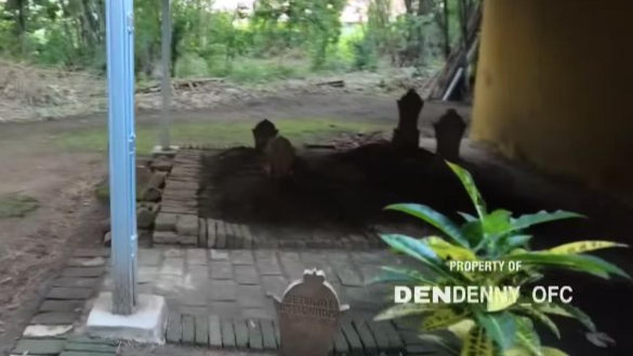 Dok. Istimewa