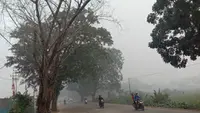Kabut Asap Kebakaran Hutan Ancam Kesehatan Anak, Kenali Tanda yang Perlu Diwaspadai