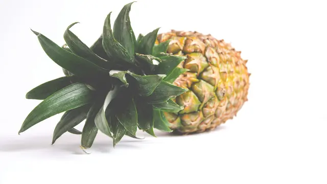 Memberikan Banyak Nutrisi untuk Tubuh