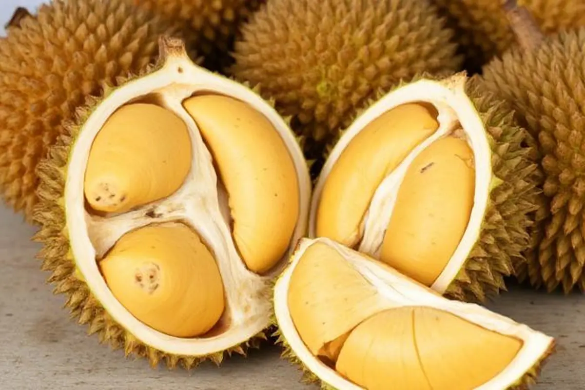 Masa Panen Durian Lokal Tiba, Dokter Wanti-Wanti Jangan Sampai Kalap