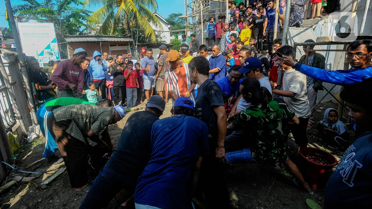 Pemotongan Hewan Kurban Idul Adha 1444 H di Depok