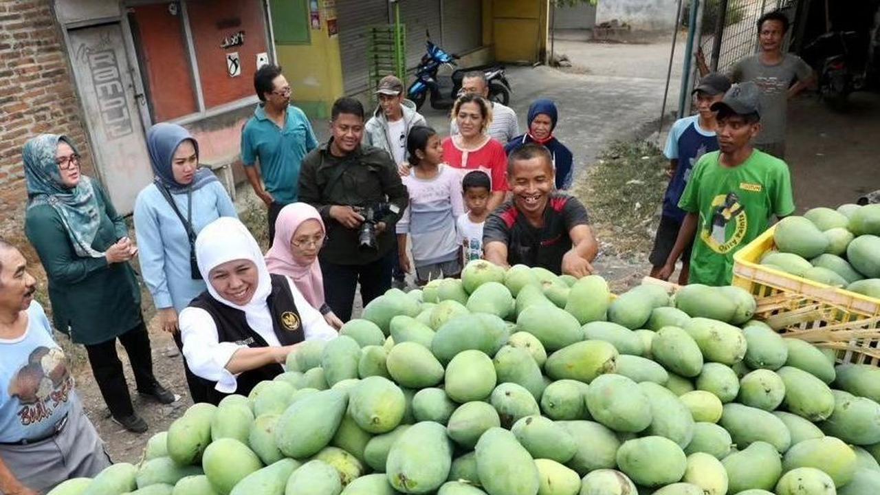 Mangga Gadung
