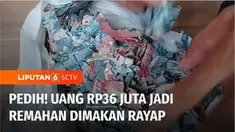 Uang tunai senilai Rp 36 juta milik seorang warga Madiun, Jawa Timur, hancur akibat dimakan rayap. Uang tersebut disimpan dalam kardus, lalu diletakkannya di dalam lemari.