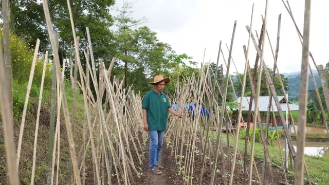 Dorong Penyerapan Tenaga Kerja di Sulawesi, MIND ID Perkuat Pembinaan UMK
