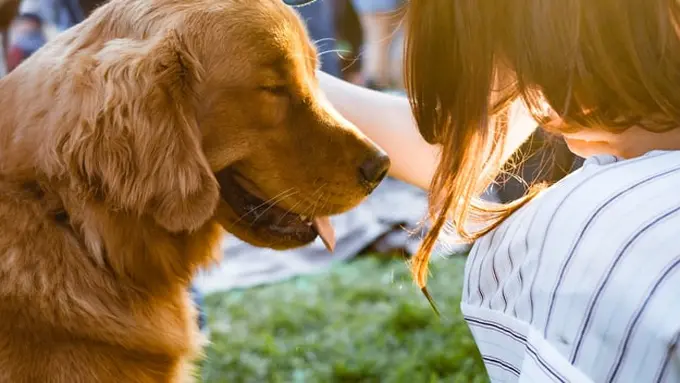 Ilustrasi Kepribadian