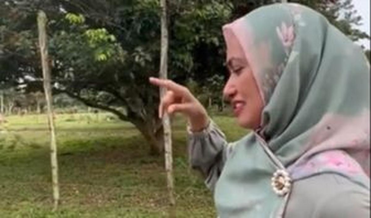 Bupati Luwu Utara Tunjukkan Perkebunan