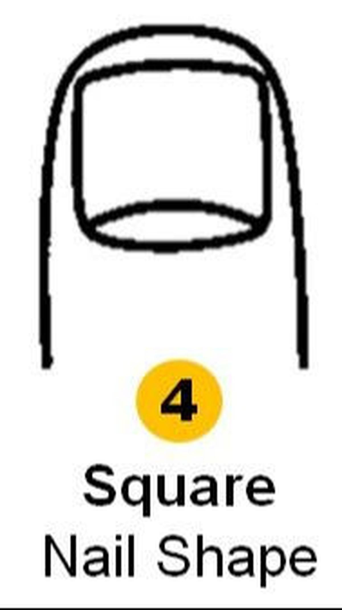 4. Bentuk Kuku Kotak<br>
