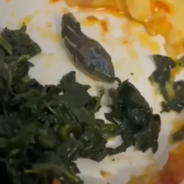 Makanan Pesawat