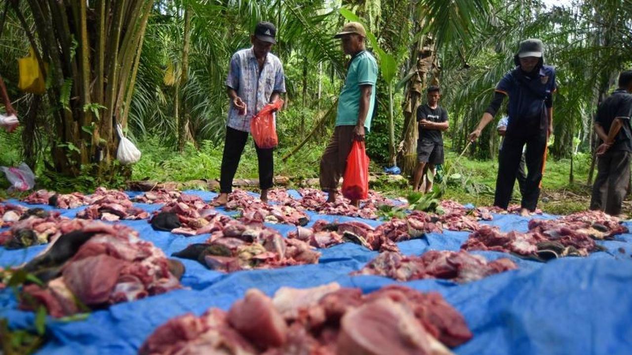 Tradisi Mahantam di Agam: Simbol Solidaritas dan Harapan di Tengah Pemulihan Bencana