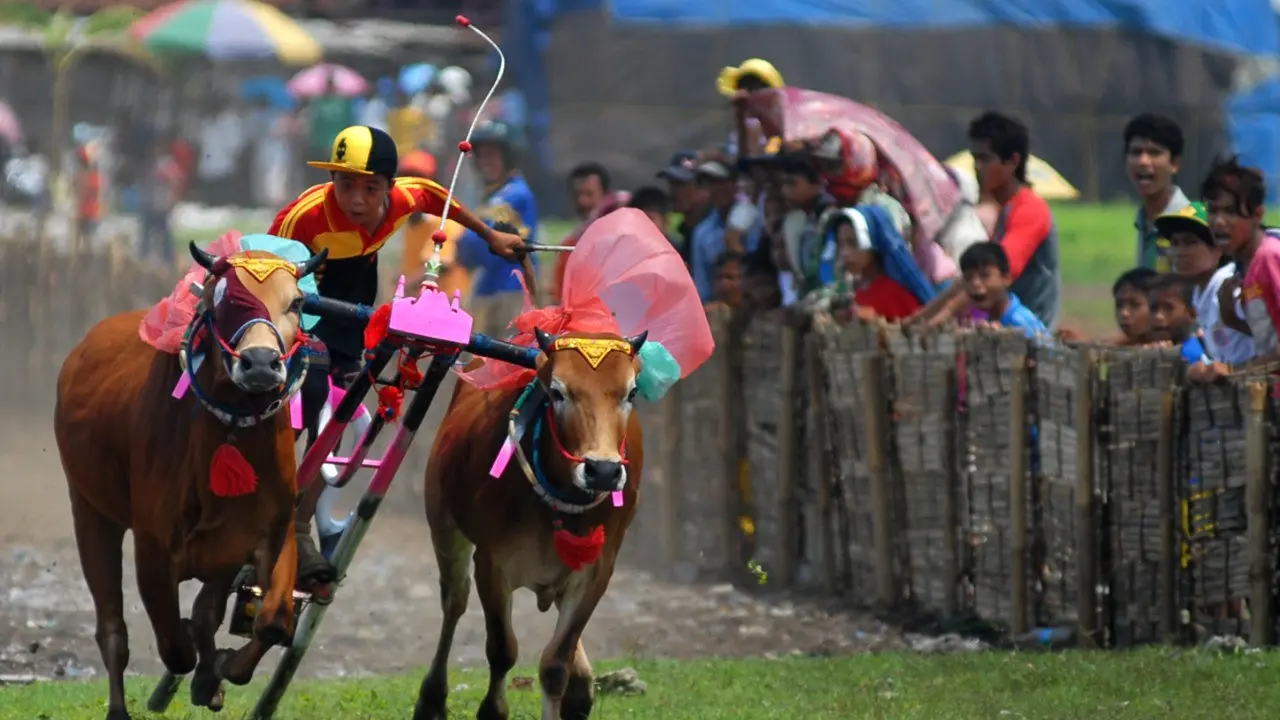 6 Fakta Menarik Kabupaten Sampang yang Eksis Sejak Abad ke-7