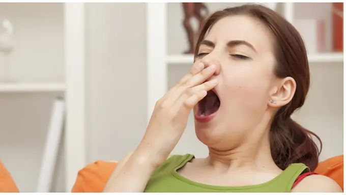 Copyright by Shutterstock.com