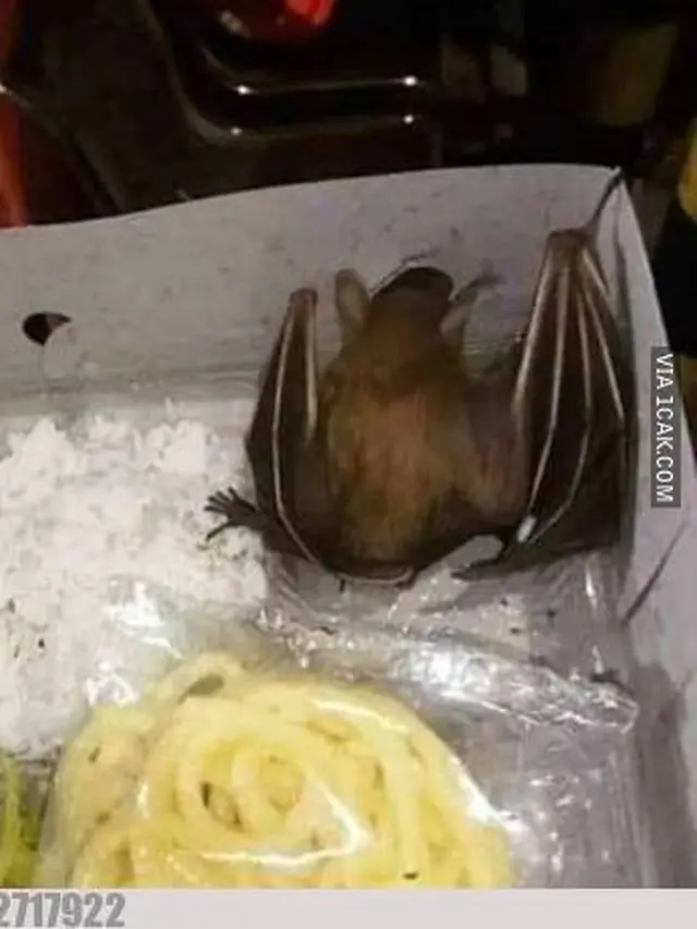 6 Menu Buka Puasa Pakai Nasi Kotak Ini Tak Sesuai Ekspektasi