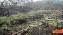 Citizen6, Asahan: Aksi perusakan hutan tepatnya di Batu Rosak, Aek Batu, Desa Aek Nagali dan di Aek Gorat, Dolok Nauli, Dolok Bartong, Desa Hutarau, Kecamatan Bandar Pulau, Kabupaten Asahan. (Pengirim: Tombak Nagara)