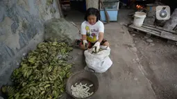 Pekerja mengupas kulit pisang untuk dijadikan keripik di Desa Cogreg, Parung Bogor, Jawa Barat, Kamis (3/9/2020). Keripik Pisang tersebut akan dikirim ke pasar dengan harga Rp 35 ribu untuk menambah pilihan oleh-oleh dari Kota Hujan. (merdeka.com/Dwi Narwoko)