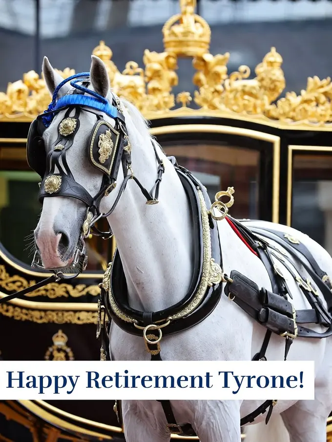 Kuda Kesayangan Ratu Elizabeth II Resmi Pensiun Setelah 14 Tahun Mengabdi, Akhir dari Pengabdian untuk Kerajaan Inggris