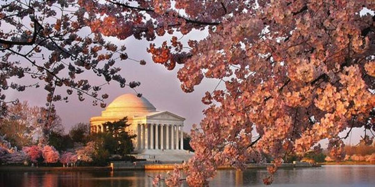 Kota Washington DC tidak bisa lagi ditinggali