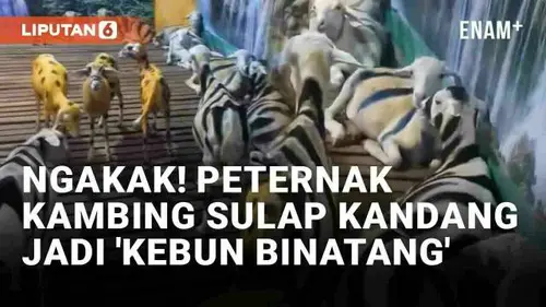 VIDEO: Peternak Kambing di Situbondo Sulap Kandang Jadi 'Kebun Binatang', Isinya Bikin Geleng-Geleng Warganet