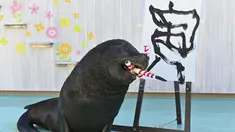 Singa laut Leo menggunakan kuas untuk melukis karakter China "harimau", yang merupakan tanda zodiak China tahun baru yang akan datang, selama pratinjau pers di Hakkeijima Sea Paradise di Yokohama (27/12/2021). (AFP/Kazuhiro Nogi)