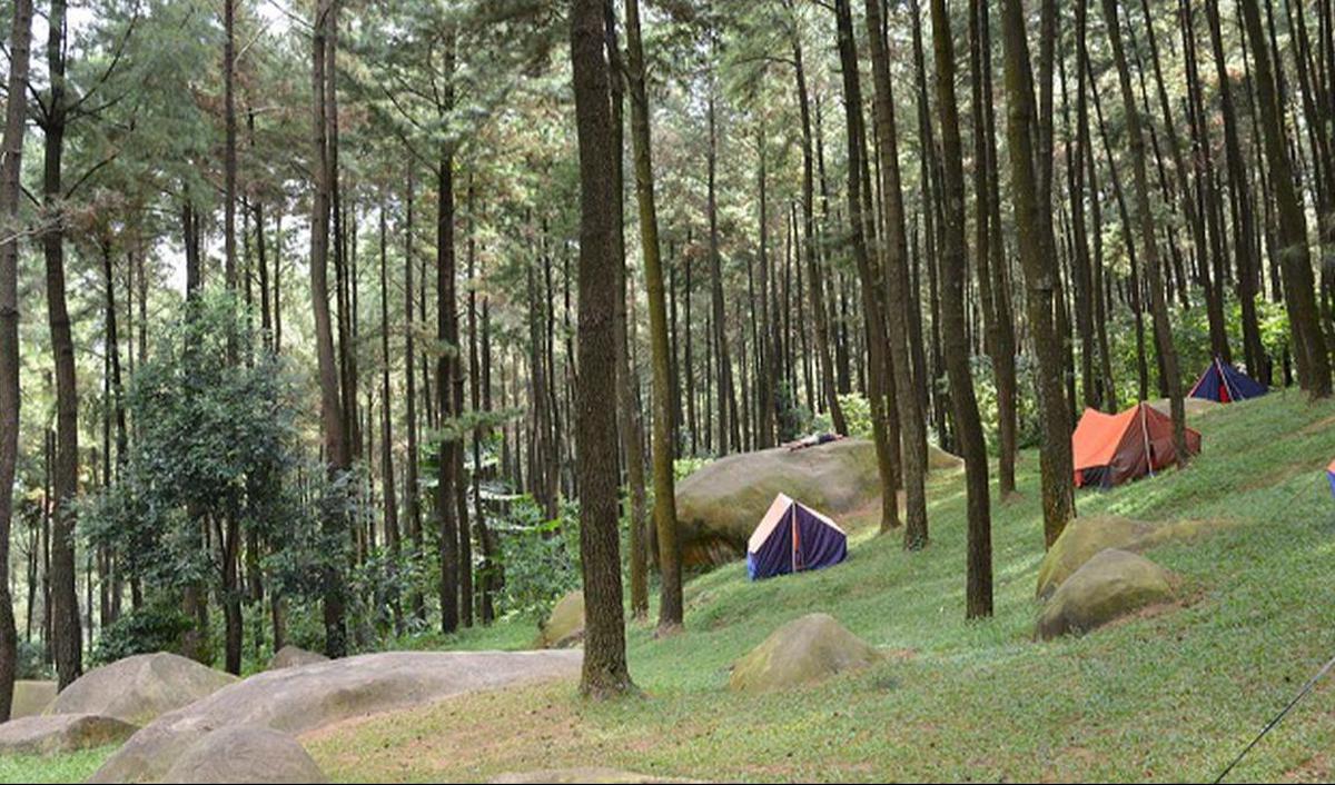 <b>Gunung Pancar</b><br>
