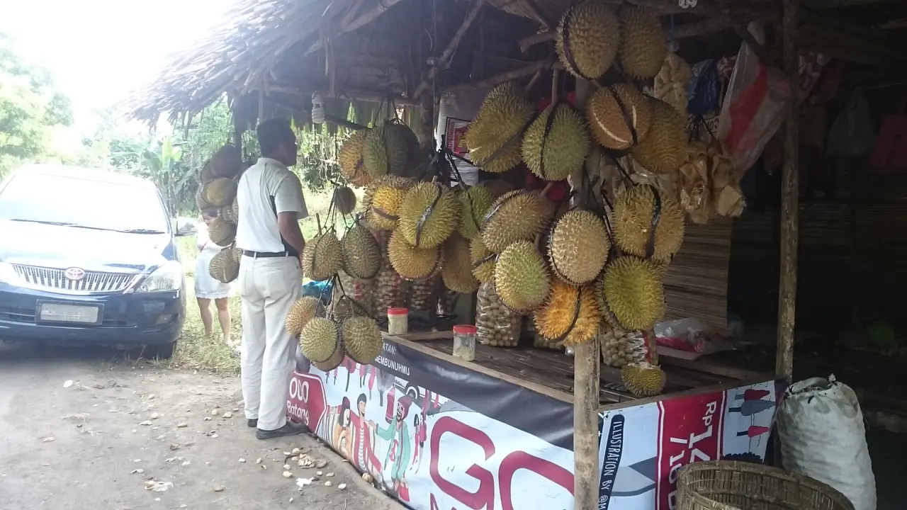 Durian Kota Padang Dominasi Pasar Buah Palembang