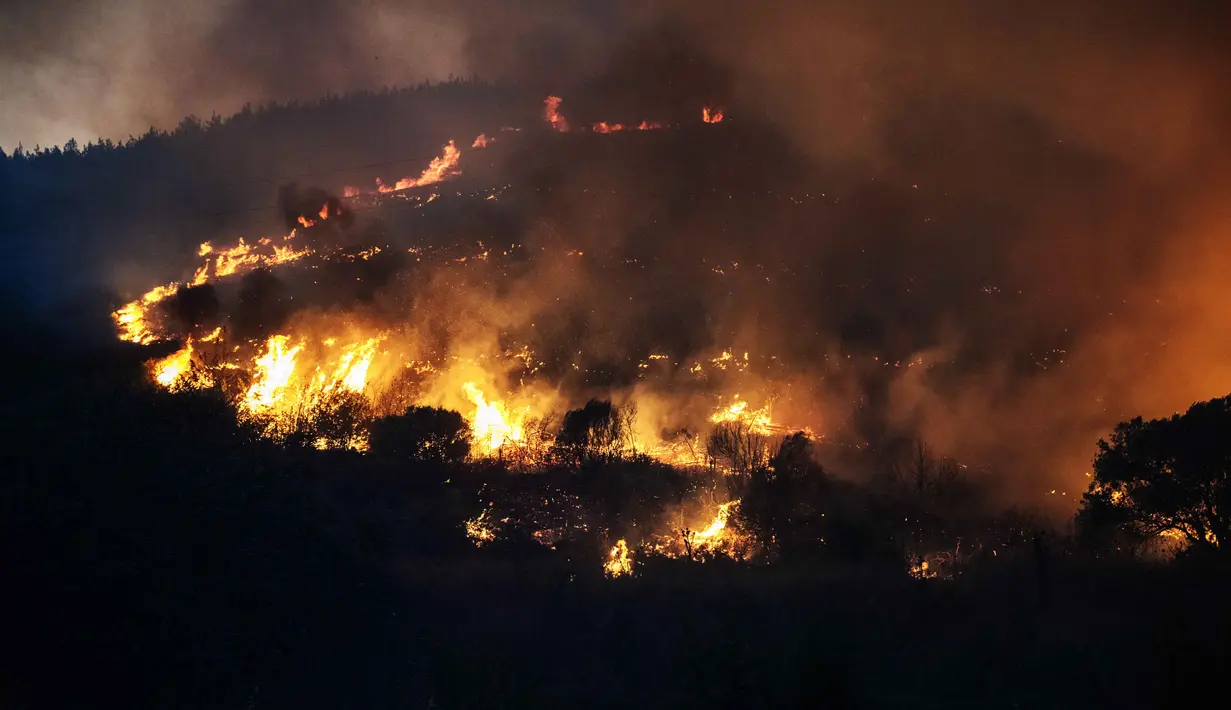 Kebakaran hutan yang dipicu angin kencang dan cuaca panas melanda wilayah Provinsi Izmir bagian barat Turki memasuki hari kedua pada Senin (30/6/2025) waktu setempat. (Ahmet Ayberk Cimen/AFP)
