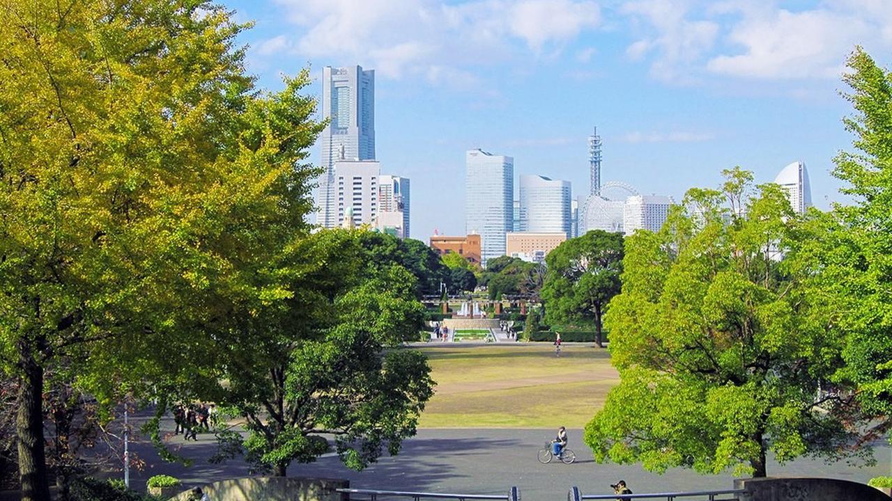 8. Anda juga bisa piknik bersama keluarga atau pasangan di lapangan rumput Yamashita Park.