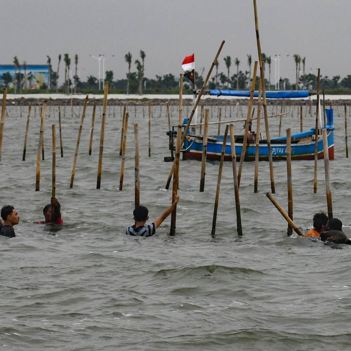 Aksi Ribuan Pasukan TNI AL dan Nelayan Bersatu Bongkar Pagar Laut Misterius di Tangerang