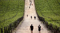Peserta berlari melalui kebun-kebun anggur selama lomba lari Strongman Run di kota Paarl, Afrika Selatan, 13 Oktober 2018. Strongman Run pertama kali digelar di Munster, Jerman pada 2007 silam dan hanya diikuti prajurit militer. (RODGER BOSCH/AFP)
