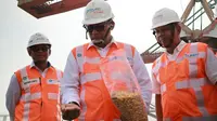 Direktur Utama Perum Bulog Budi Waseso hadir langsung di Pelabuhan Teluk Lamong Surabaya untuk memantau kedatangan kapal pertama impor jagung pakan, Rabu (14/11).
