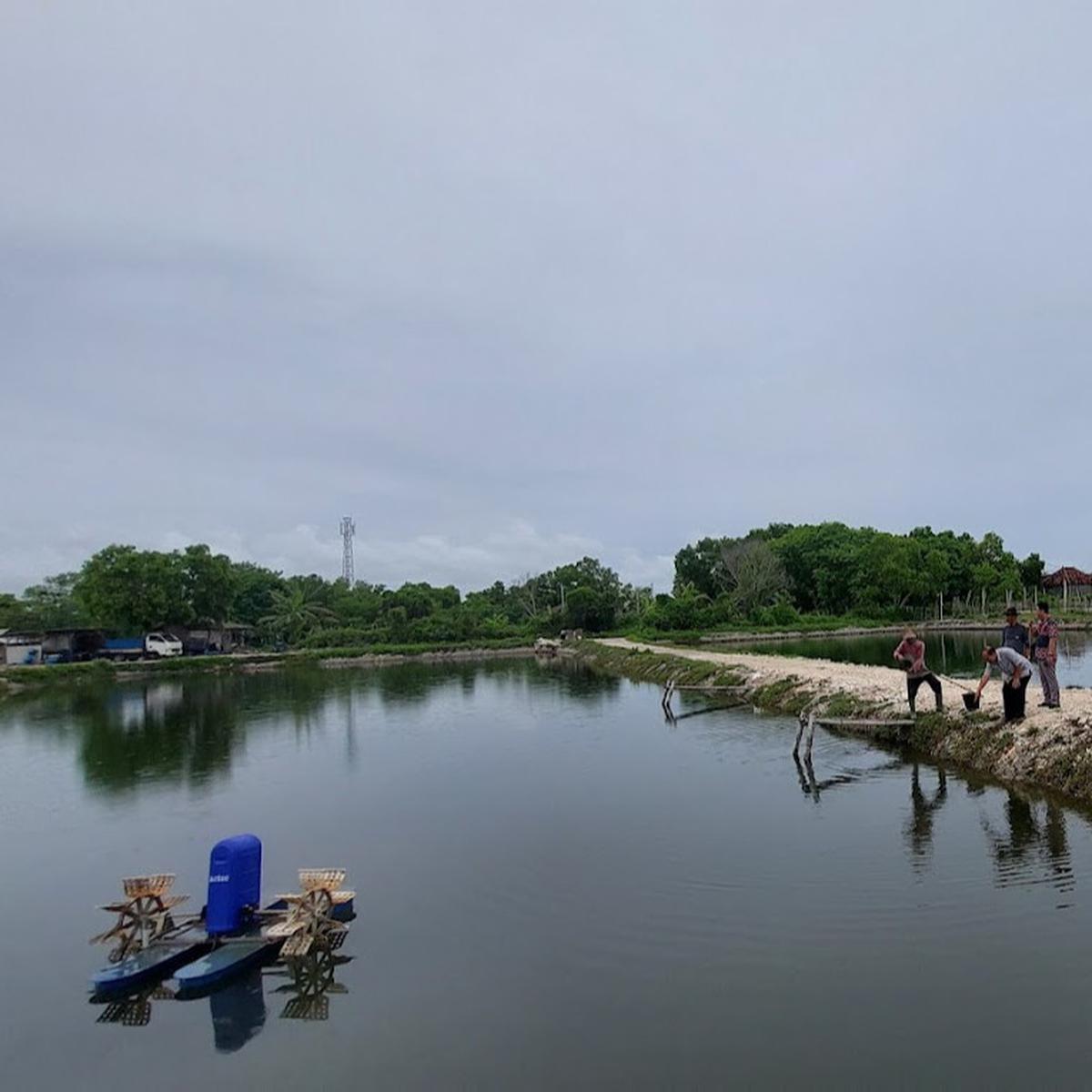Kampung Kerapu Lamongan