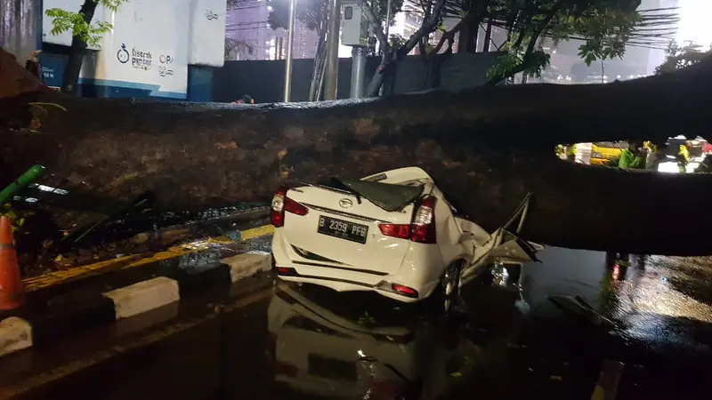 Pohon mahoni tumbang dan menimpa mobil yang parkir di kawasan Menteng, Jakarta Pusat