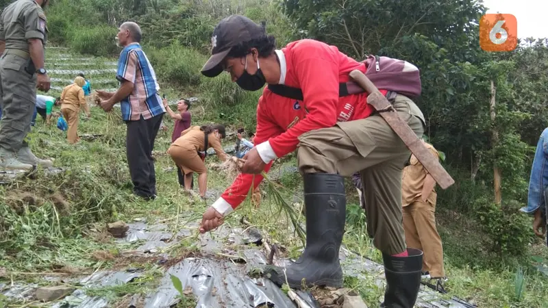 Petani anggota kelompok tani Selaras Alam di Desa Dombu Sigi