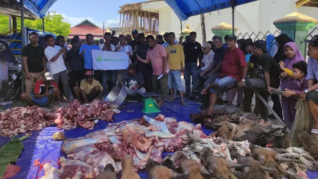 Sebanyak 15 ekor sapi diberikan kepada masyarakat yang merupakan sumbangan dari para donatur yang dihimpun Dompet Dhuafa. (Liputan6.com/Dicky Agung Prihanto)