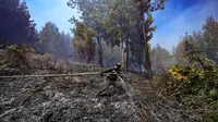 Sekitar dua puluh kebakaran hutan membuat Bogota dan beberapa wilayah Kolombia dalam keadaan siaga. (Luis ACOSTA/AFP)