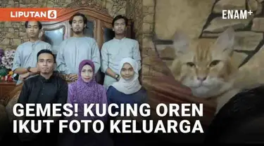 Tingkah lucu kucing kembali menjadi sorotan. Kali ini seekor kucing oren di Malaysia viral. Lantaran si kucing tiba-tiba muncul dan ikut berpose di foto keluarga.